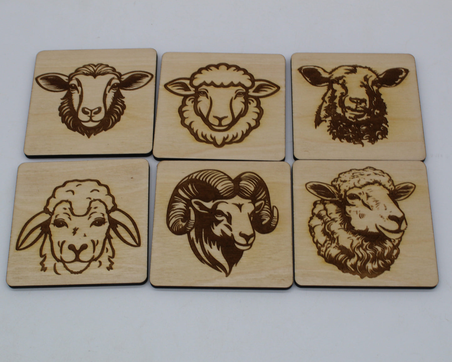 Sheep Drink Coasters