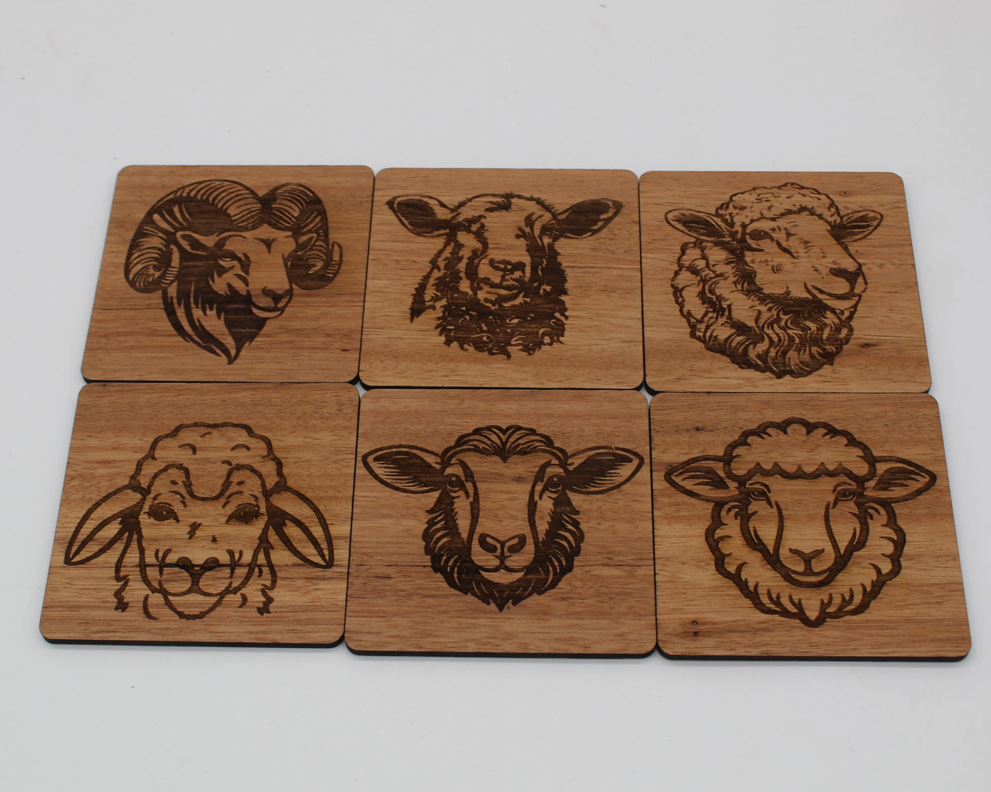 Sheep Drink Coasters