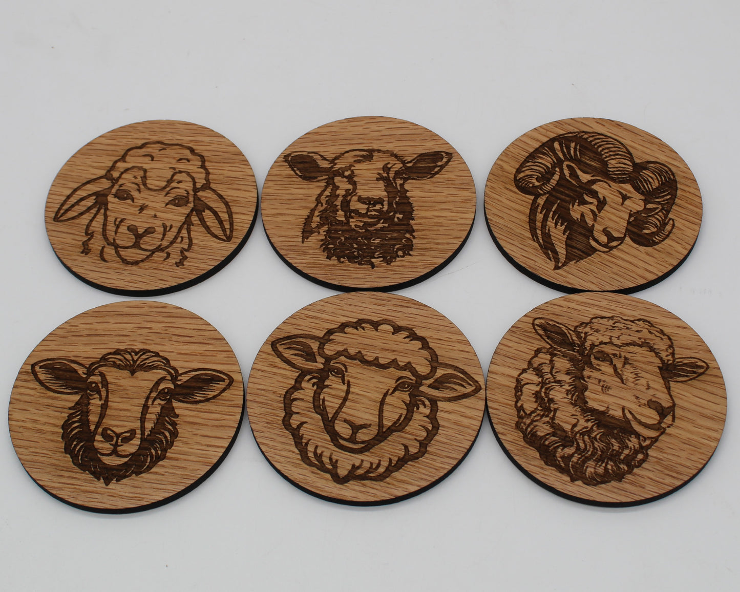 Sheep Drink Coasters