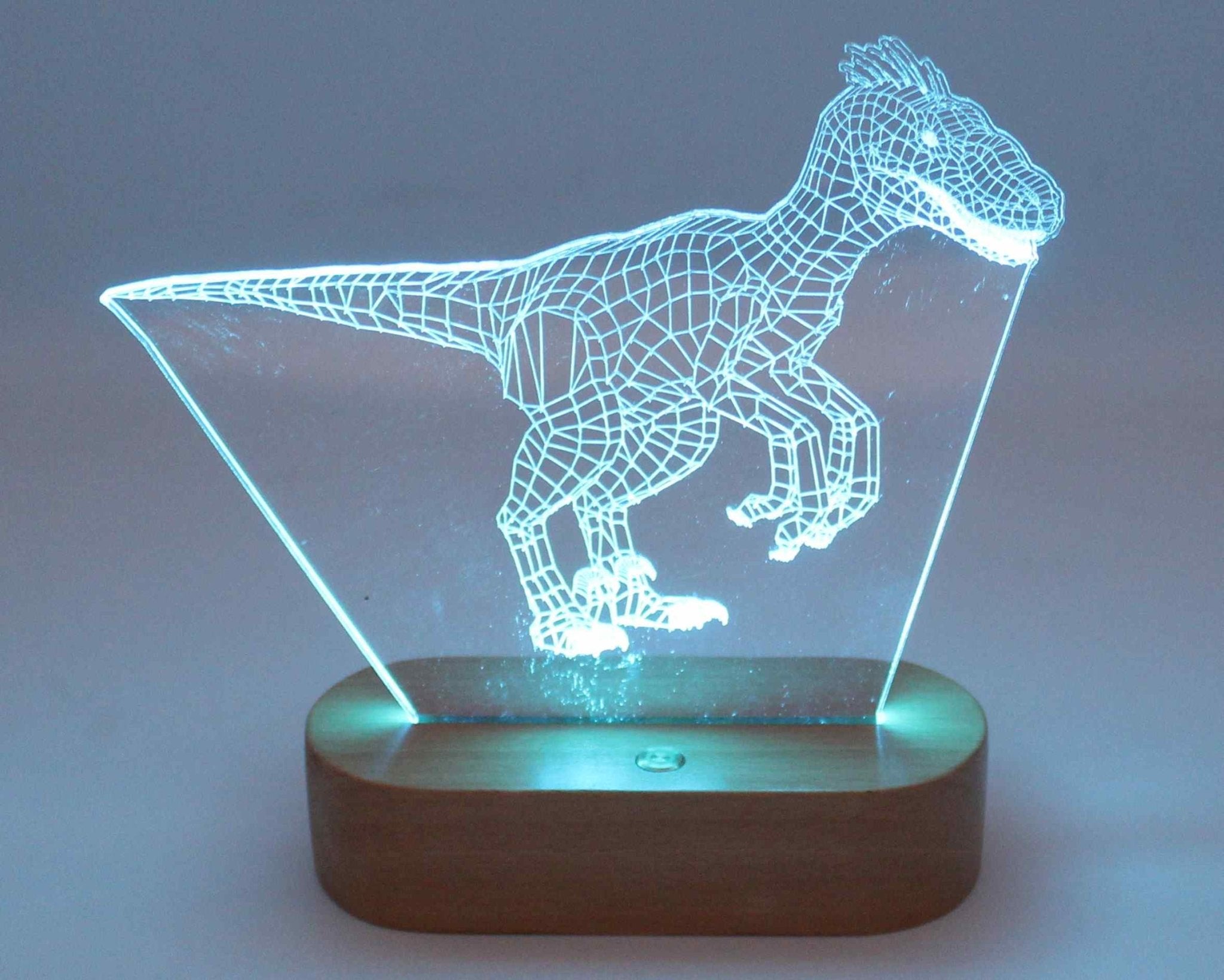 Dinosaur shop illusion lamp