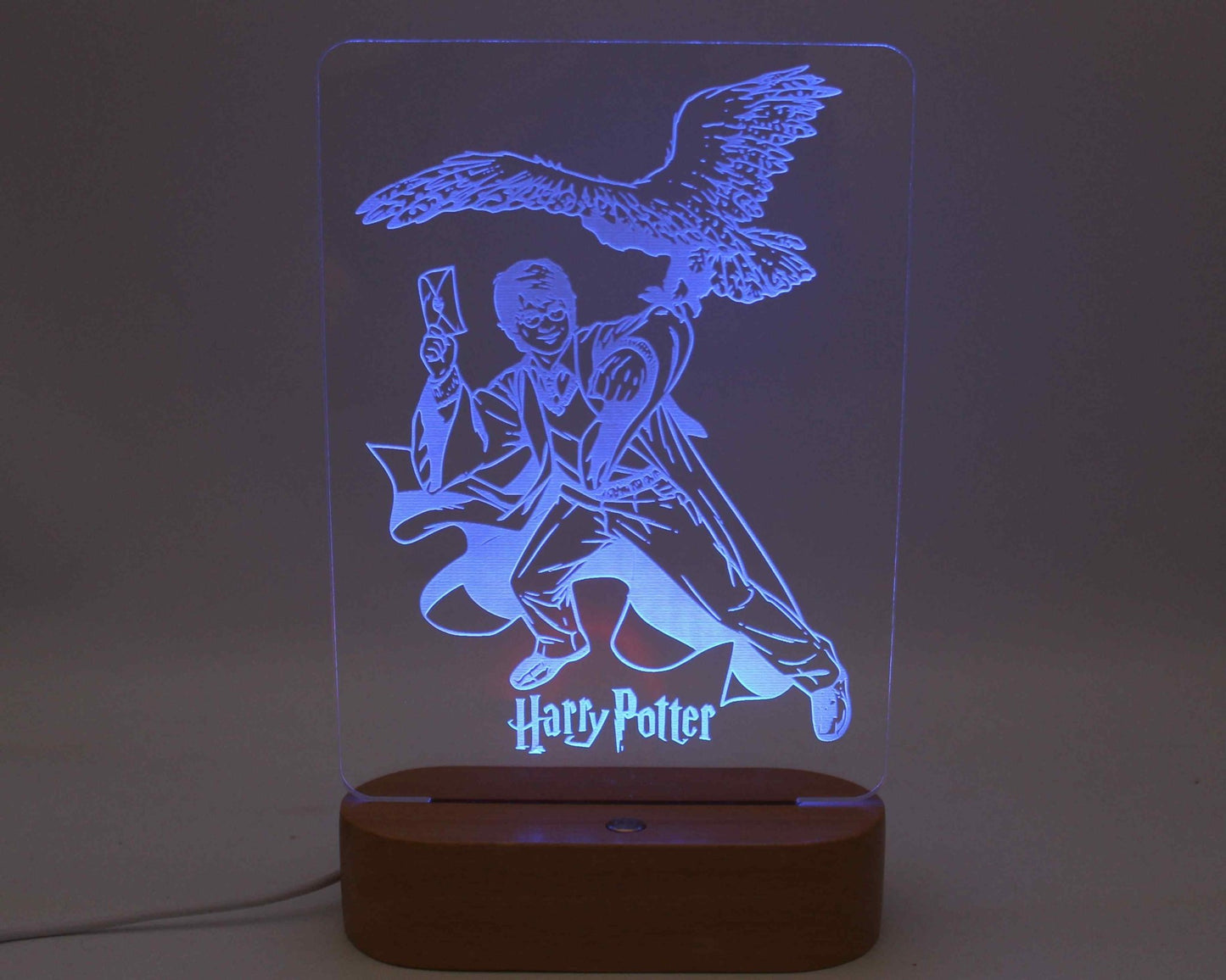 Harry Potter Night Light - Haisley Design